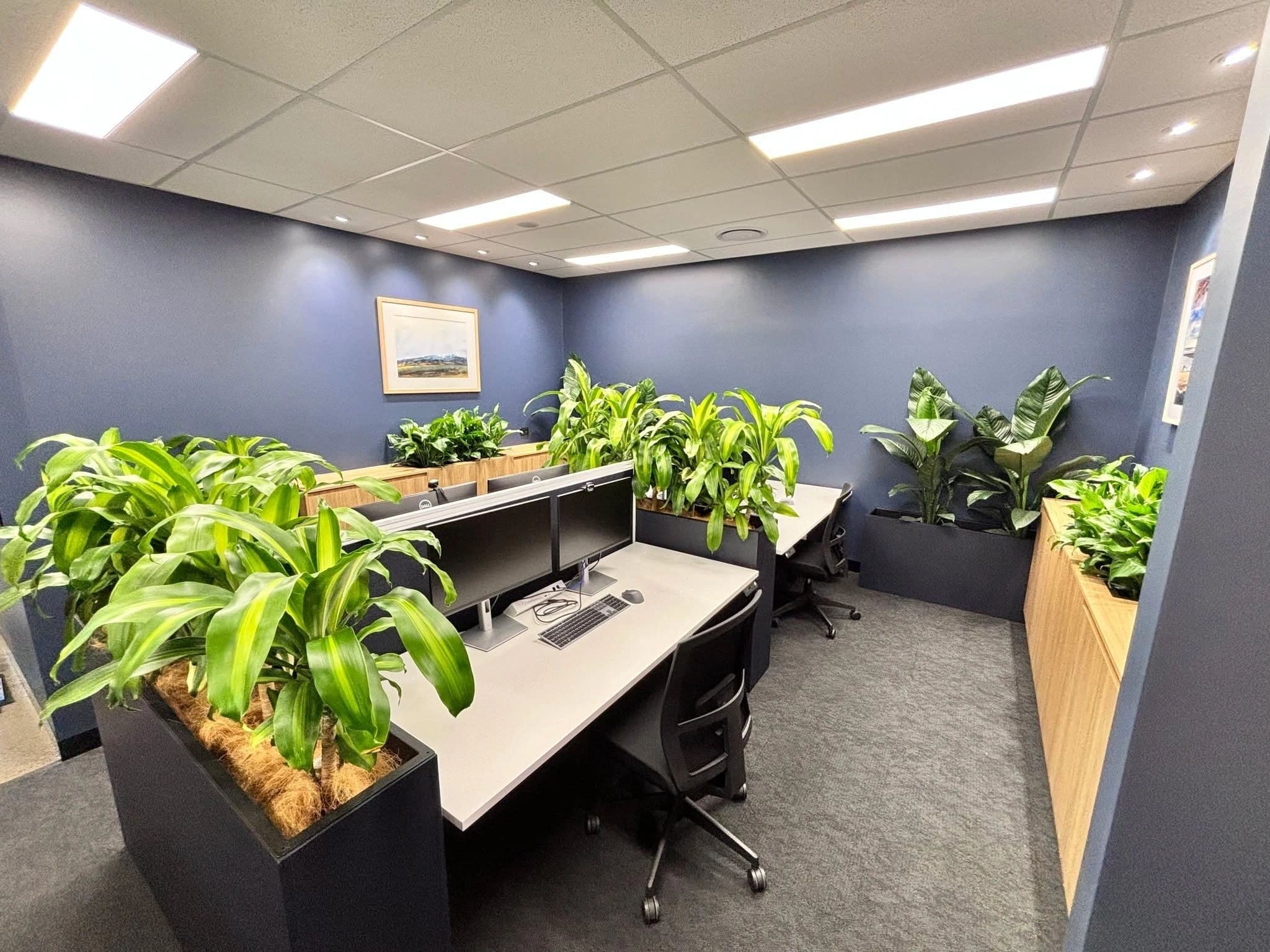 Completed office workspace with an exposed grid suspended ceiling and lined walls